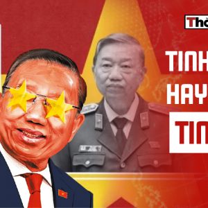 TINH GIẢN HAY TINH VI?