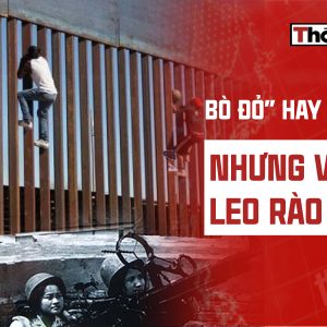TẠI SAO “BÒ ĐỎ” HAY CHỬI MỸ NHƯNG VẪN LEO RÀO MỸ?