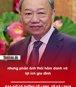 BAO GIỜ CÓ ĐƯỜNG TÔ LONG, TÔ HÀ LINH?