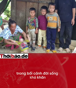 NGUYỄN HÒA BÌNH VÀ “SUẤT THỊT LỢN 100 NGHÌN”.