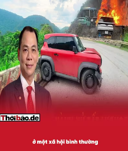 EVN VÀ VINFAST ÔNG CHÚA HAY ĐỔ LỖI CHO DÂN!