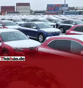 VINGROUP BỊ VẠCH MẶT: GIẤY ỦY QUYỀN MA CỦA LUẬT SƯ