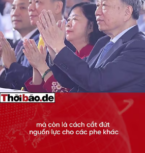 HY SINH VƯỢNG VIN – NƯỚC CỜ NGẦM CỦA ANH RỪNG?