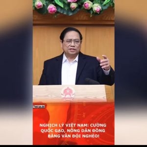 Nghịch lý Việt Nam: Cường quốc gạo, nông dân Đồng bằng vẫn đói nghèo!