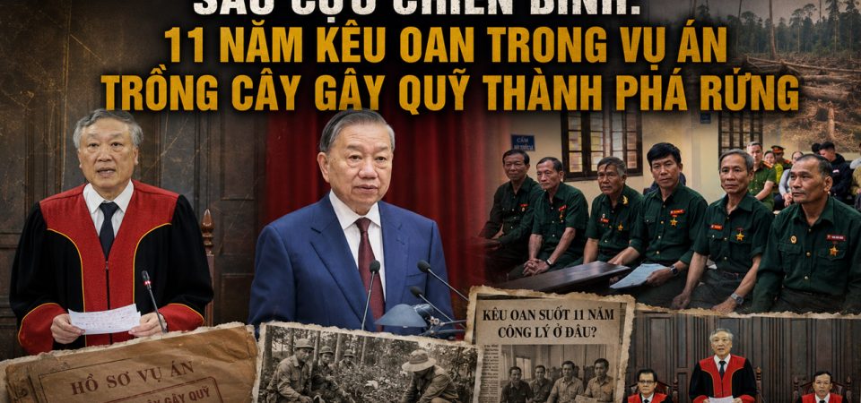 Sáu cựu chiến binh: 11 năm kêu oan trong vụ án trồng cây gây quỹ thành phá rừng
