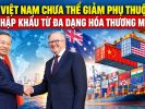Việt Nam chưa thể giảm phụ thuộc nhập khẩu từ đa dạng hóa thương mại